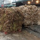 영일정비 이미지