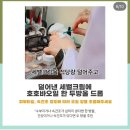 HYAAH, 히야〰️ 내돈내산 솔직 찐후기 (feat.히둥이)