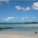 세화리해수욕장 이미지