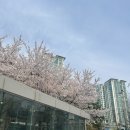 102-1-000022 | 4월은 중간고사 공부는 던져버리고 놀고먹기 하는 계절