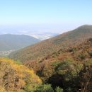 불모산 저수지 내 이미지