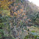 유평농장 이미지