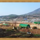 미동마을회관 이미지