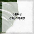 수원-1925 | 수원왁싱 천연 100% 슈가로 시술하는 슈가슈가링왁싱