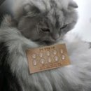 와와유통 이미지