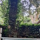 제주금산민박 이미지