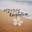 카르페디엠 이미지