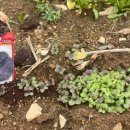 경자농장 이미지