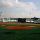 탄천종합운동장 탄천야구장 이미지