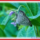 강림농장 이미지