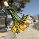 도담메디 | 강원도 셀프스냅 코스｜원주·단양 커플 여행 촬영 장소·준비물 총정리 (뚝딱이 예비부부 추천)