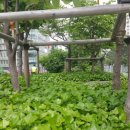 호명당구장 이미지