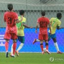 브라질 - 강릉시 | 브라질