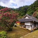 꽃과 한옥 이미지