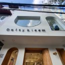 데이지 하우스 이미지