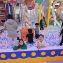 상무석사태권도 이미지