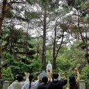 숨길+ 쉼길+ 순례길 네이버블로그