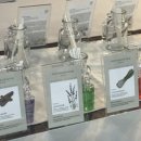 나를 찾는 여정 컬러테라피 이미지