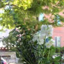 플라워클래스 이미지