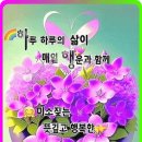 매일 미소짓는 하루가 되세요 이미지