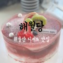 해월당 강동점 | 울산 북구 가볼만한곳 디저트 베이커리 카페 해월당 강동 블루마시티점 내돈내산 후기