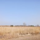 갈대습지공원 | 갈대습지공원