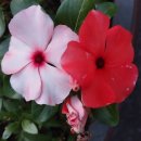 읍천항 탈해왕길 화장실 | 경주 피서지