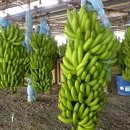 신바람농장 이미지