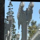 어반라이트 | LACMA 입장료 무료관람 어반라이트