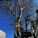 서울시립노원청소년수련관 | [서울] 서울시립과학관의 셔틀버스와 과학 경험