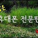 조은서적 이미지