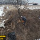 오성벌목