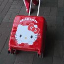 세븐일레븐 공주점 | 세븐일레븐 헬로키티 캐리어 구매 보냉백 실물 후기 구매팁