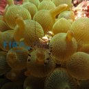 한국수산자원관리공단 이미지