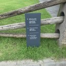 나비채 하우스 | [제주] 서귀포/중문에서 2일차