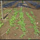 동연농장 이미지