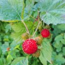 멋내기 - 청주시 흥덕구 사운로 277 | 멋내기
