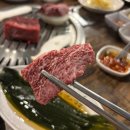 승리한우 | 강남구청역 한우 맛집 ‘초심한우정육식당’ 후기｜통치맛살·채끝 솔직 리뷰