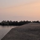 동일리-6 이미지