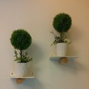 그집이야기펜션 이미지