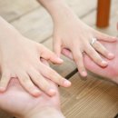 소토보체 이미지