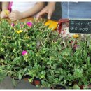 협동조합산수다락 이미지