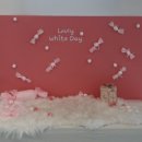 댕그르르 이미지