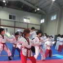 경희대신성태권도 이미지