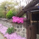 옛집황토방2 이미지