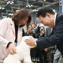 바이도로시평생교육원