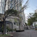 수영로 325번길 | 대연동치킨맛집 치킨신드롬 대연혁신점 야구 보며 즐기는 시원한 생맥주와 핫스페셜