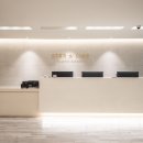 스타라인 이미지