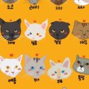 냥아치카페 네이버블로그