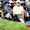 그레이스 이미지